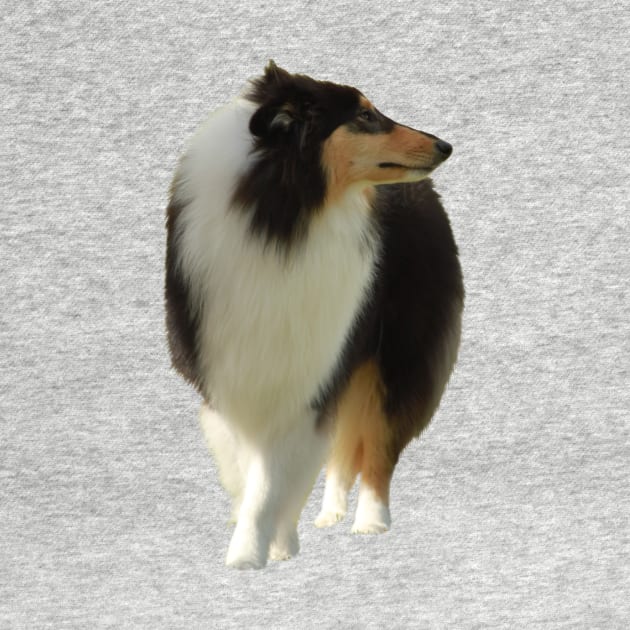 Black Lassie by alsoCAN